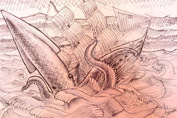 Kraken 20at