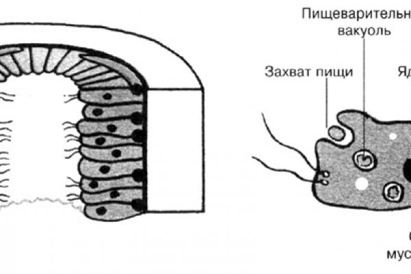 Кракен последние ссылки
