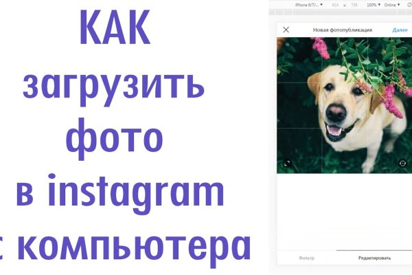 Kraken домен