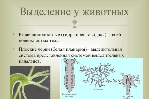 Даркнет сайт скачать