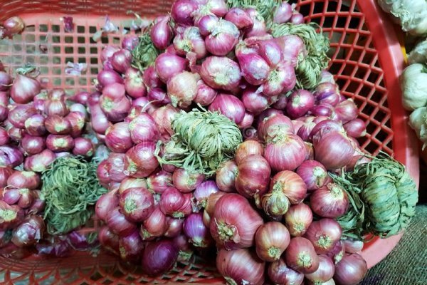 Рабочая ссылка маркетплейс