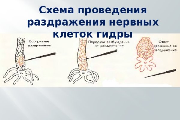 Kraken com зеркало