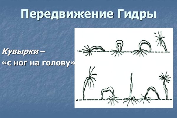 Как вернуть аккаунт на кракене