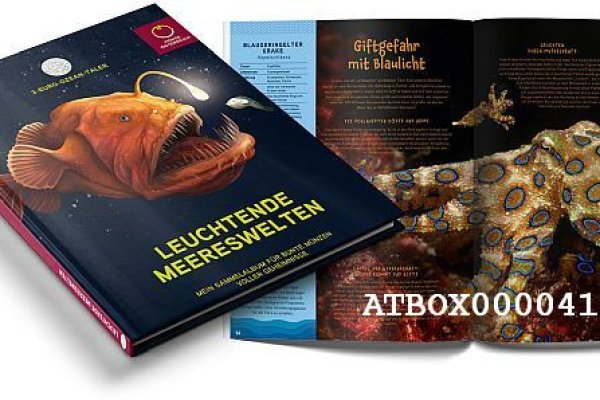 Какой нужен тор чтоб зайти в кракен