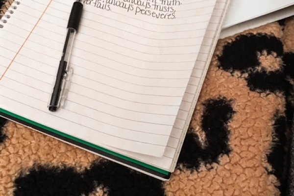 Пользователь не найден при входе на кракен