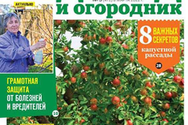 Кракен даркет