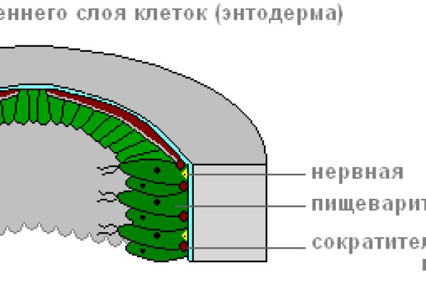 Заказать даркнет