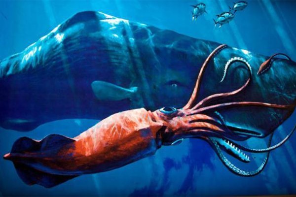Кракен магазин krakens13 at