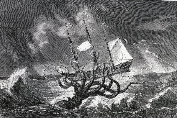Ссылка на kraken at